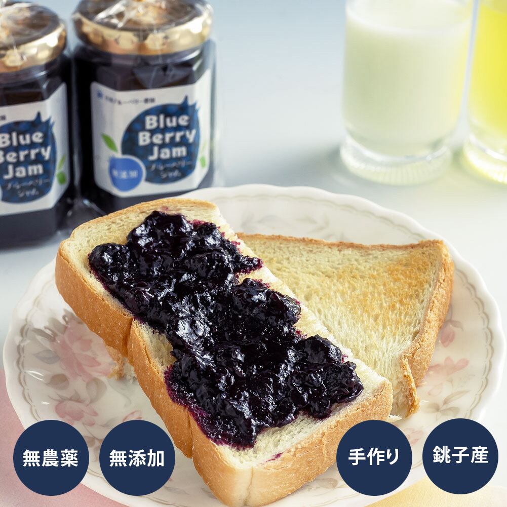 ジャム用ブルーベリー販売 （農薬無使用）