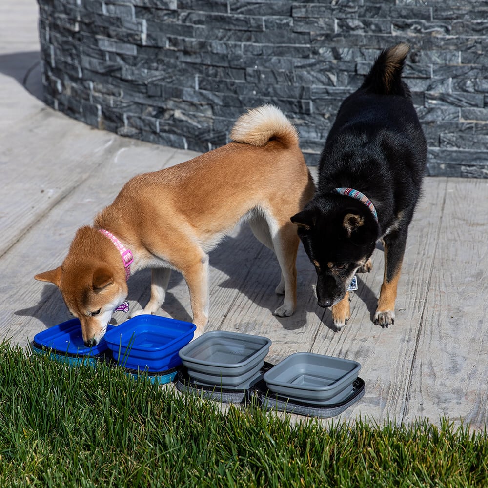 0fc56d258bc199406fac7edb087cb4