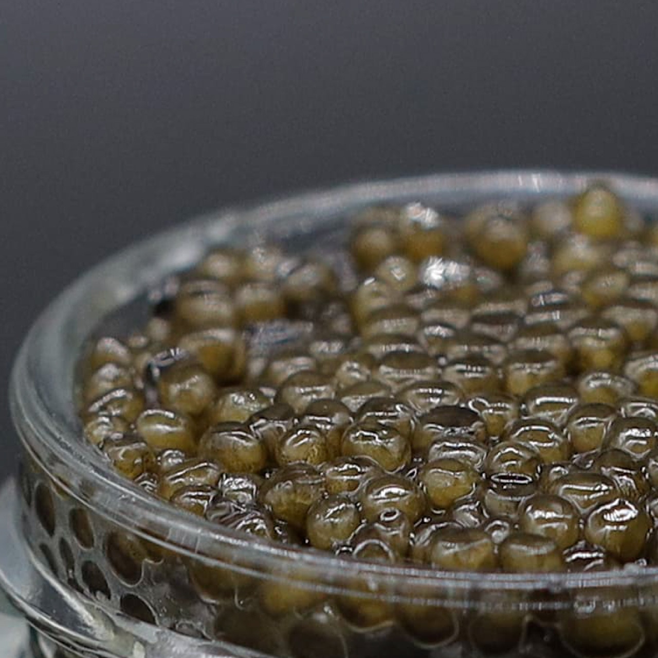 FIVE STAR CAVIAR　100g