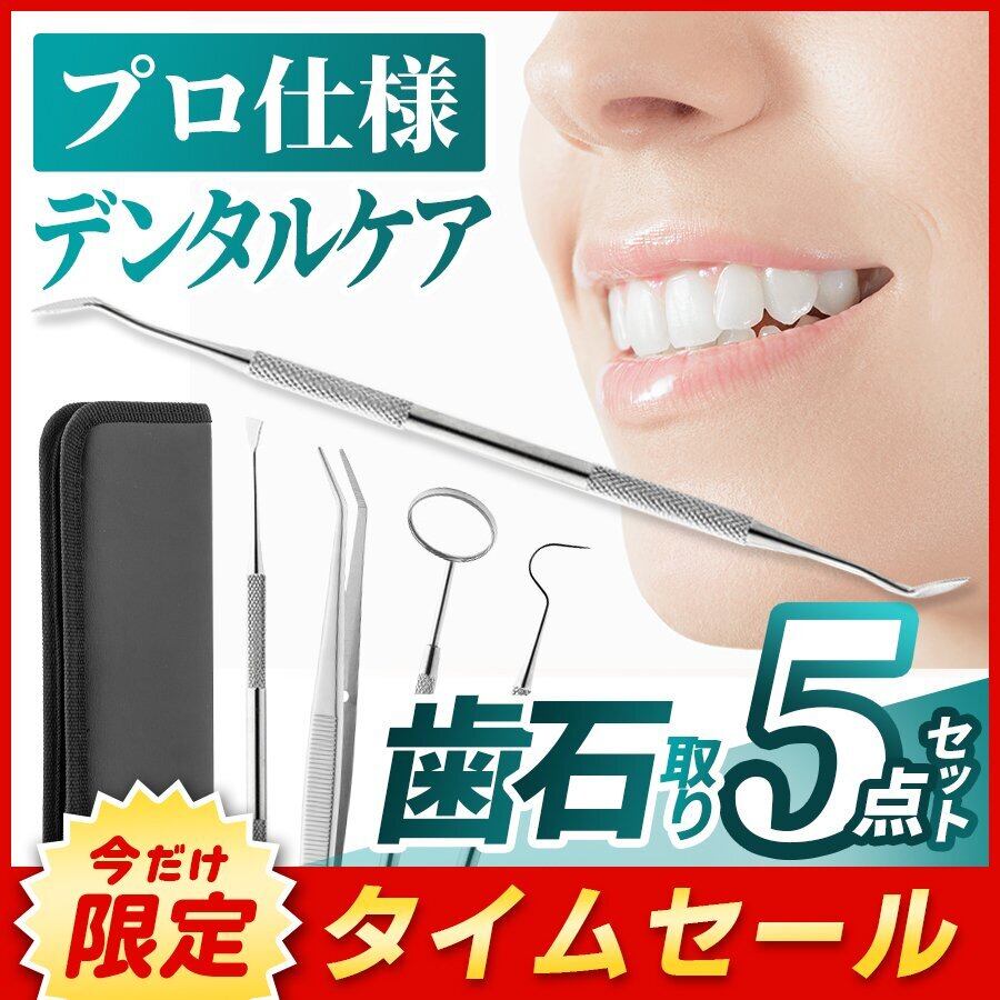 歯科衛生 NISSIN 歯石取り練習用マネキン 歯石セット付き 顎模型