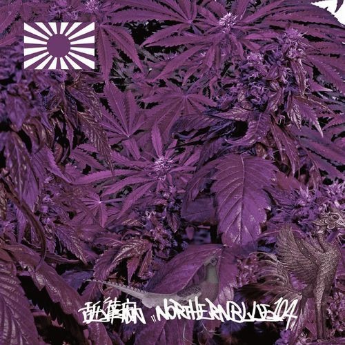 [2LP] 舐達麻 / NorthernBlue 1.0.4.