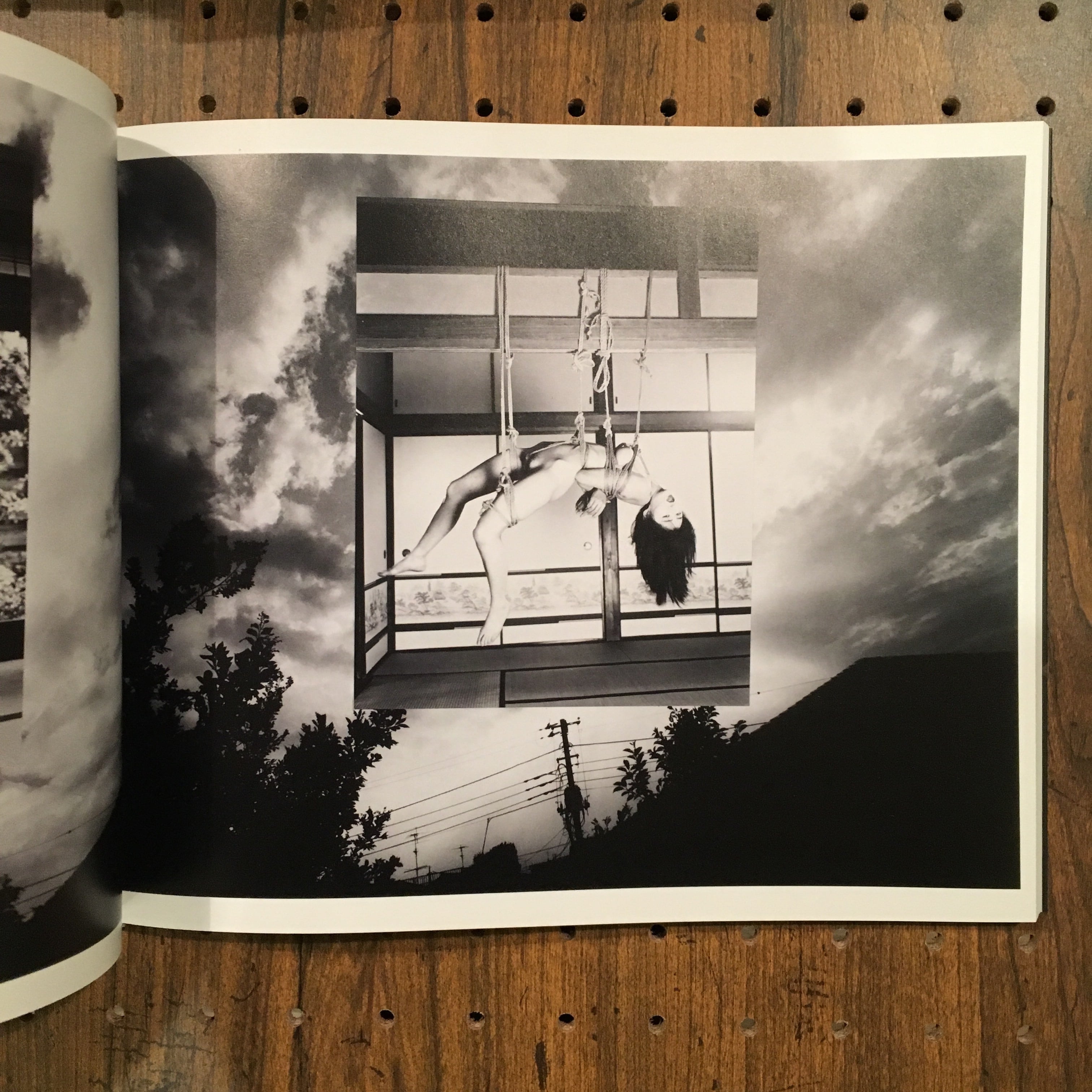 遺作 空2/荒木経惟 | 百年