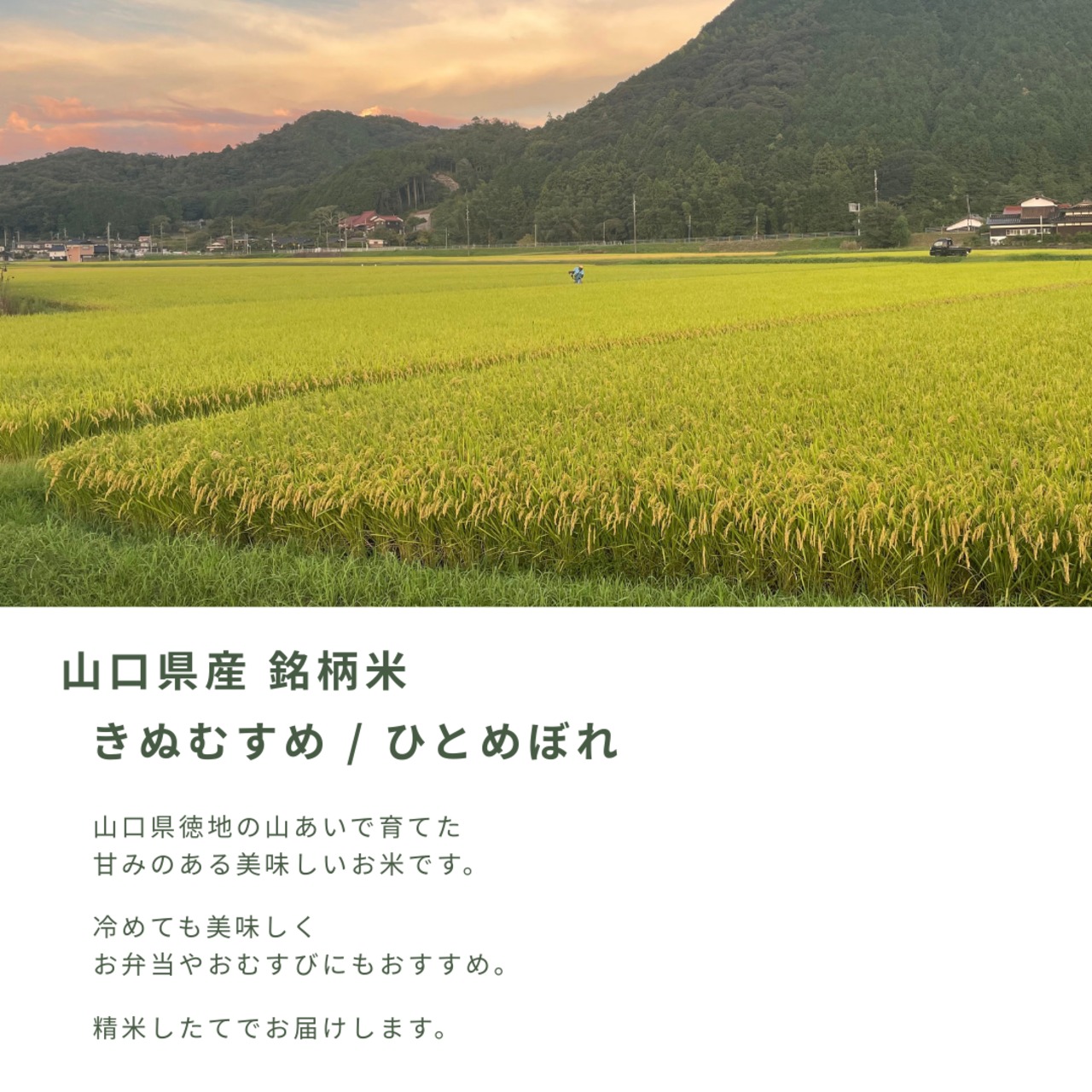 一升米｜写真入り ｜1歳誕生日ギフト｜2合×5個(10合)セット