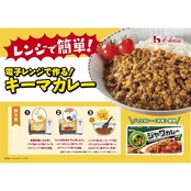 House ジャワカレー ハウス 中辛 185g×2個【カレールー】【スパイシー】