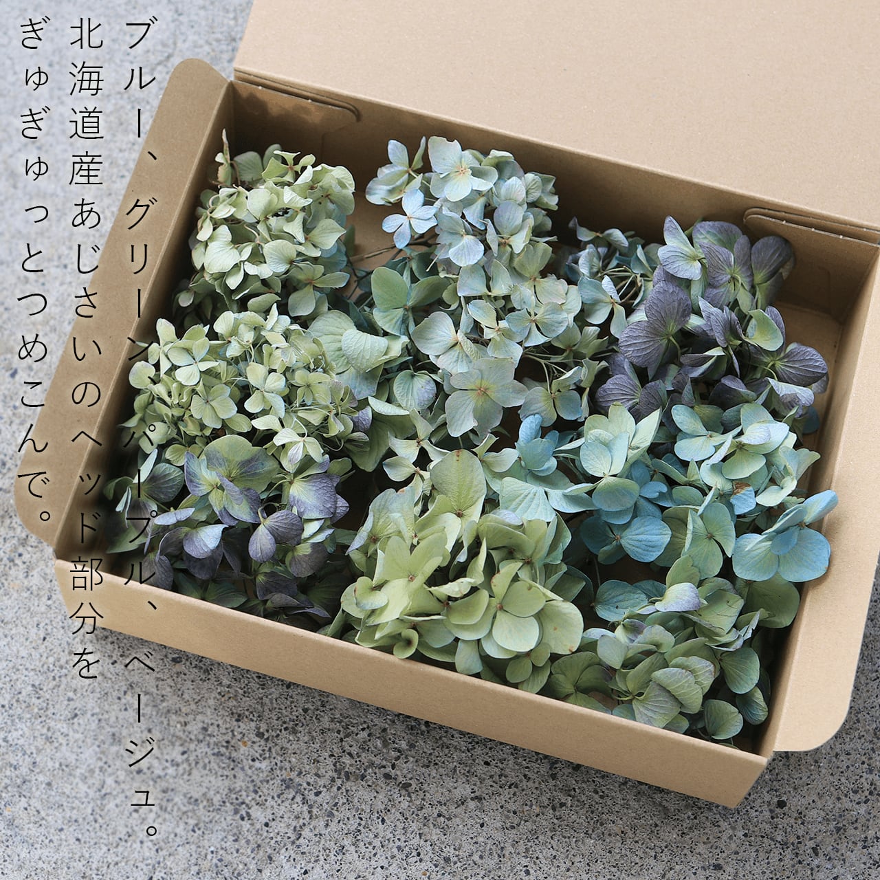 紫陽花ドライフラワー Z  90サイズ 2箱 大量！ 秋色紫陽花 北海道産