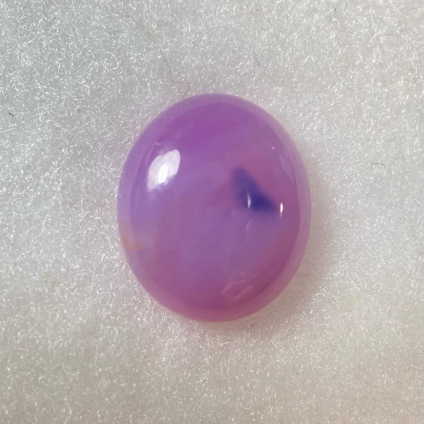 青い鳥たたずむサファイア