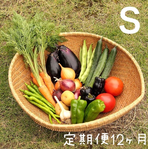 定期便＊月１回お届け12ヶ月コース【S】季節のお野菜おまかせボックスSサイズ