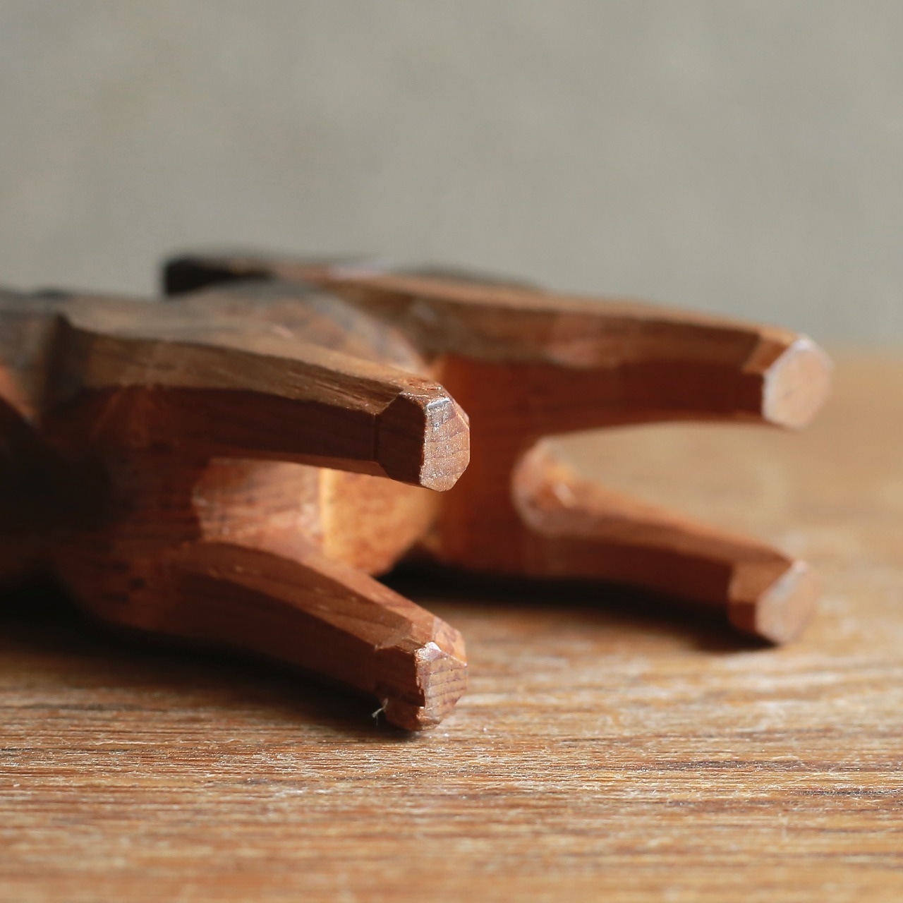 凛々しい立ち姿で、熱い視線を送る犬 1