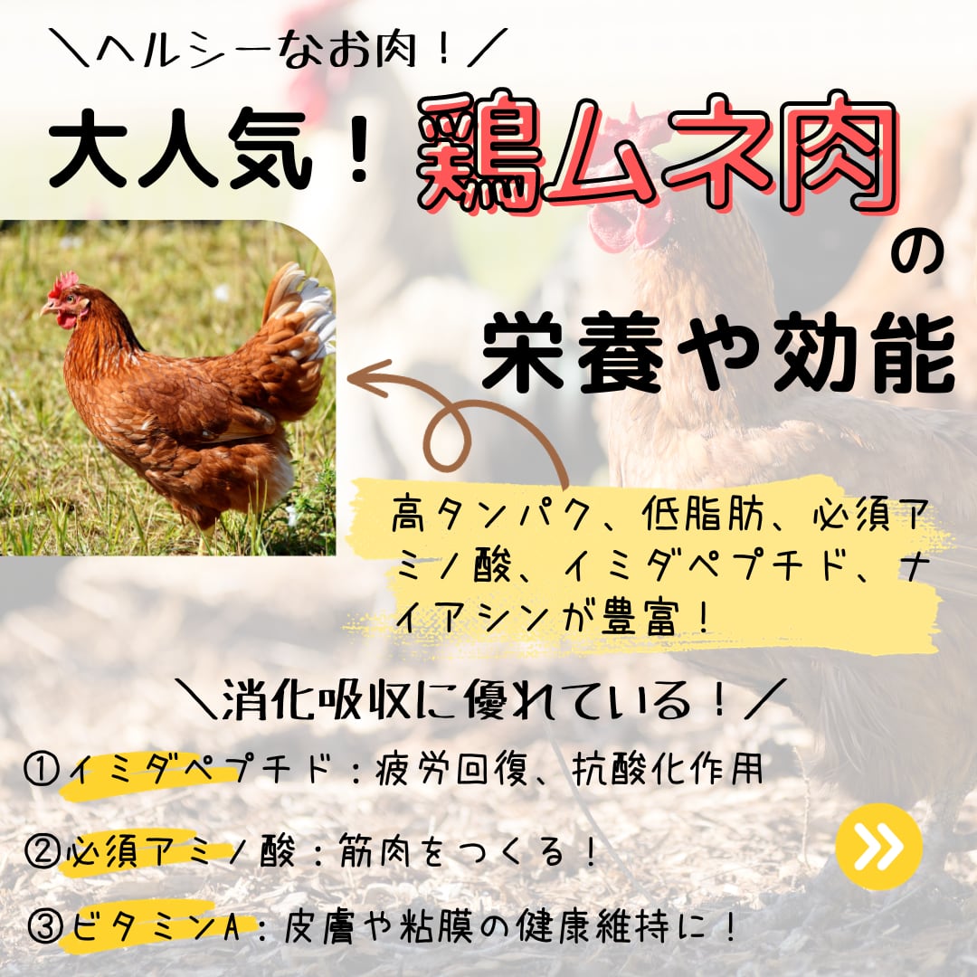 やぎミルク入りチキンおからバーグ(木耳)