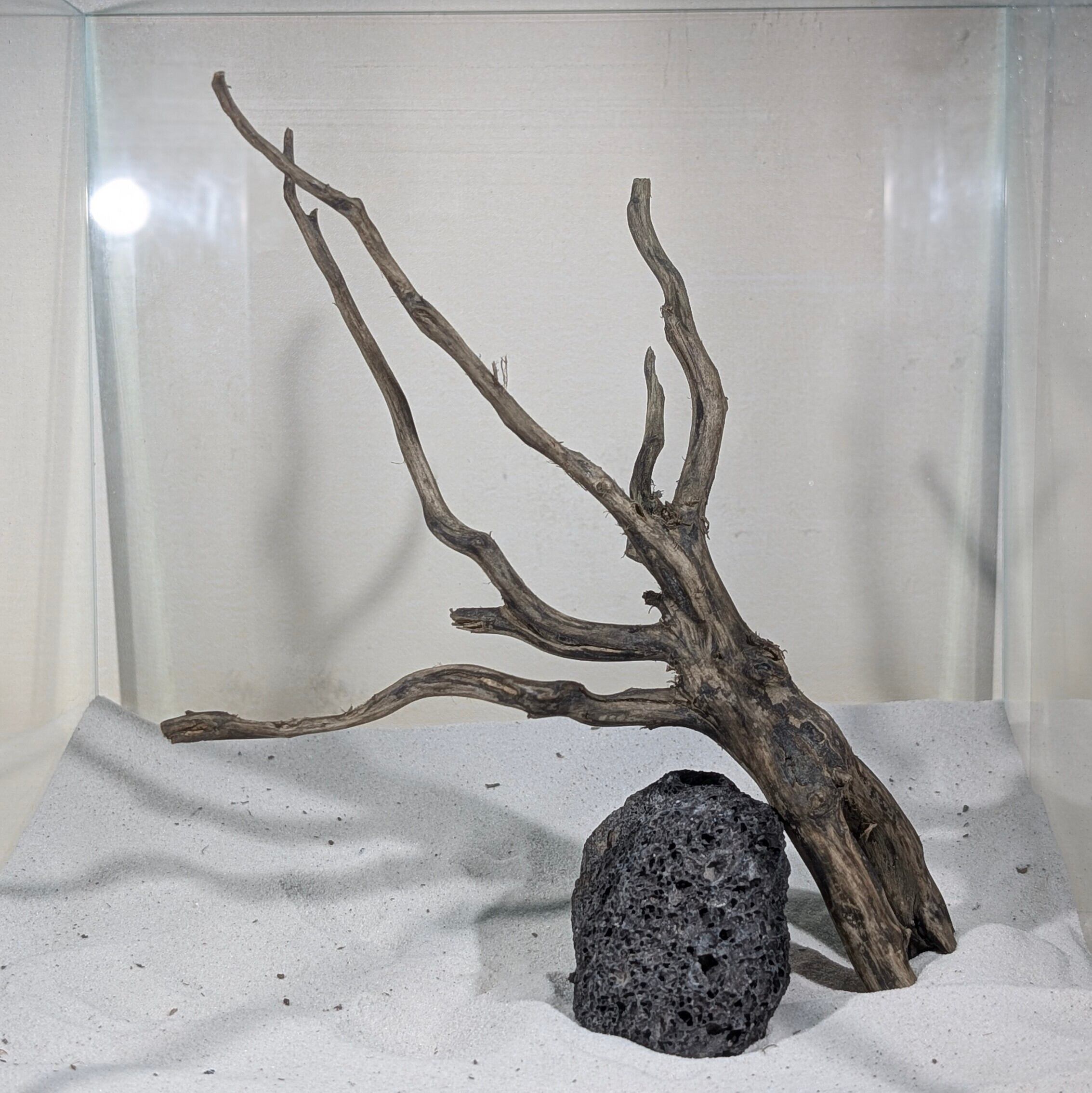 ブラックスマトラブランチウッド【BSB090】 | ペットの流木 水宗工房