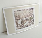 「アイボリー」　秋色　ポストカード　/3枚セット　naturako