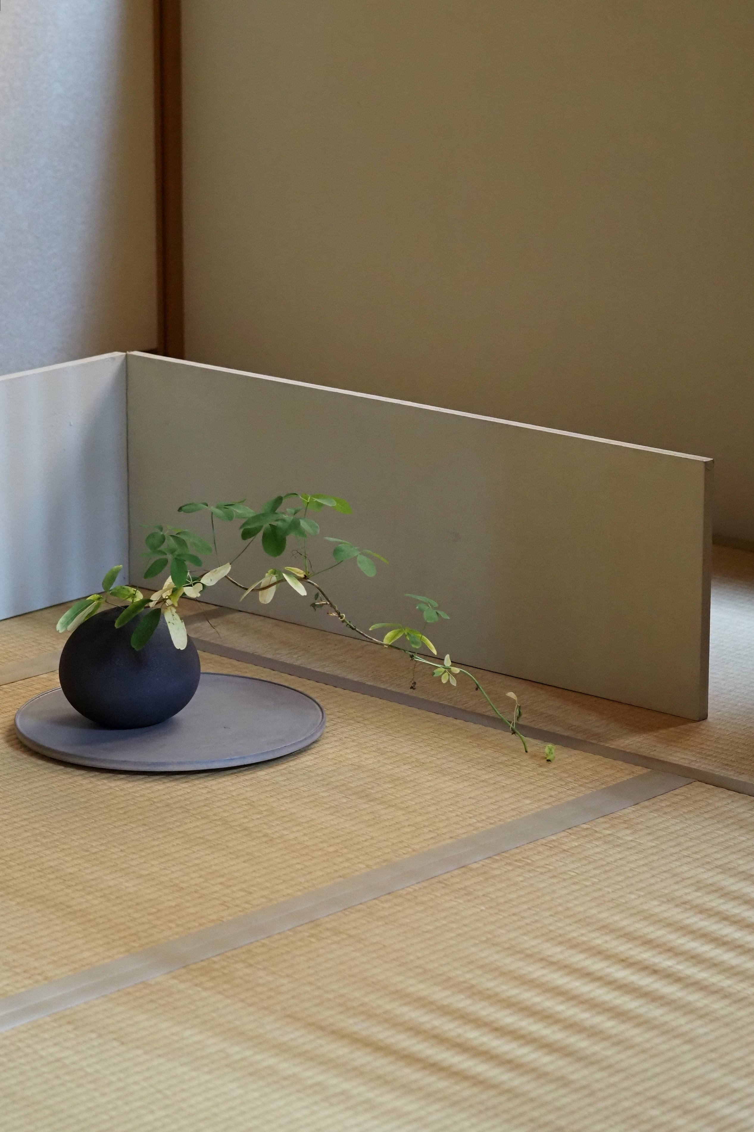 富井貴志 70.白漆丸盤φ345 | 陶屋なづな