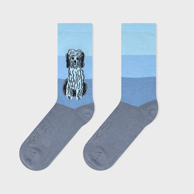 【SOCKS 2 PAIR GIFT SET】松尾ミユキ ソックス2足ギフトセット