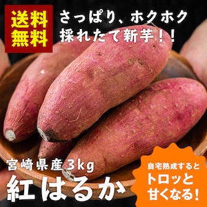 【熟成前】新芋 ご家庭用 宮崎県産 さつまいも 紅はるか(生芋) 3kg 送料無料 サ ツマイモ