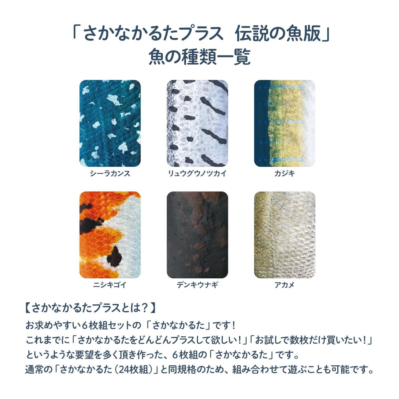魚種をもっと！「さかなかるたプラス」 | CAMP HACK STORE