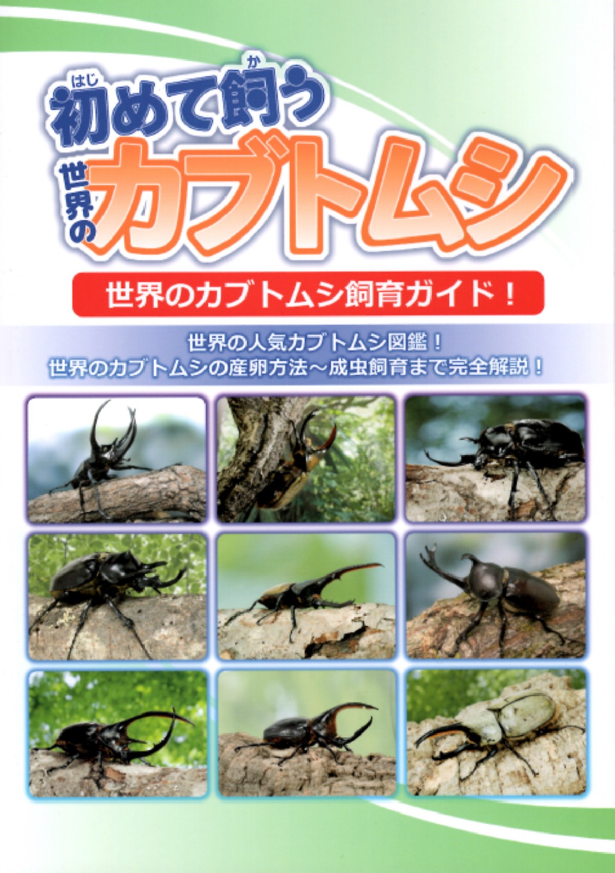 初めて飼う世界のカブトムシ | KPW BASE店