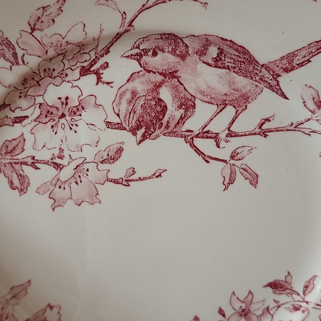 Sarreguemines サルグミンヌ デザートプレート / FAVORI #5