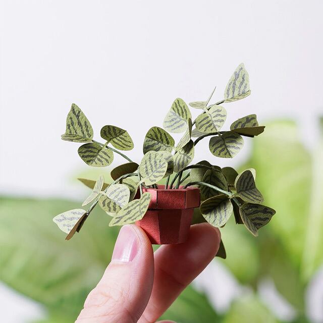 ペーパークラフト 植物 ヒコウキ草 | 猫式×台灣 台湾雑貨 猫雑貨の通販
