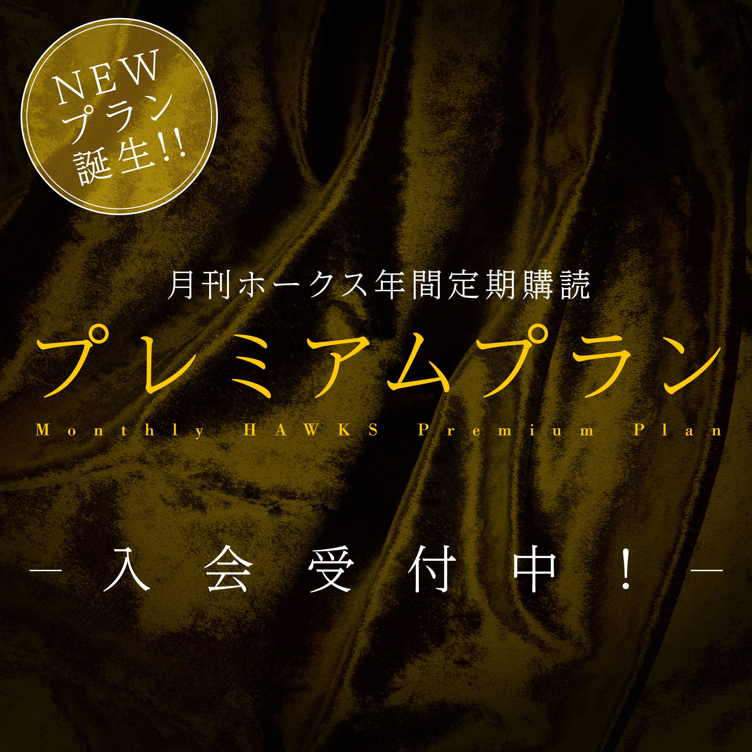 月刊ホークス