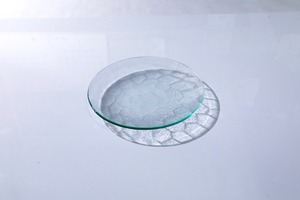 昭和型ガラス「ソフトペーン」　皿　円形　小（Φ120mm）