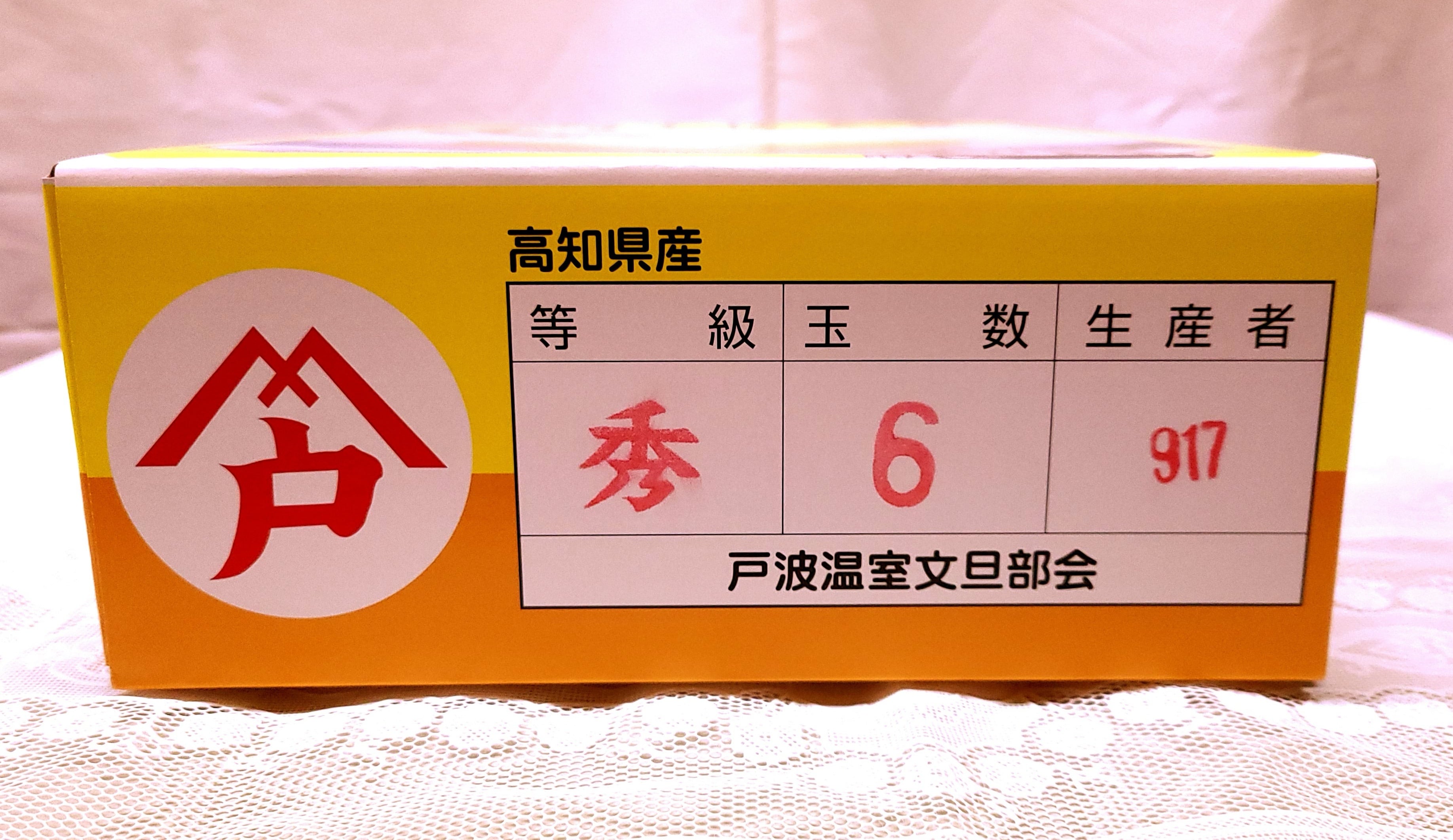 温室土佐文旦 秀品 6個入り 約3kg ハウス栽培 化粧箱入り | kochi808