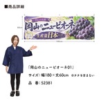 【受注生産】横幕 ポンジ 岡山のニューピオーネ01 180×60cm 52381