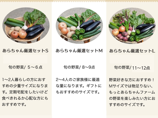 【定期便：週1回】旬の野菜セットM