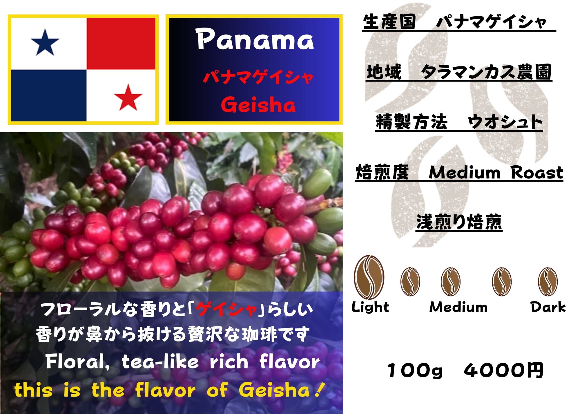 パナマゲイシャ100g 【クリックポスト発送用】