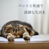 JOYPET(ジョイペット) JOYPET 天然成分消臭剤 ネコのフン・オシッコ臭専用 つめかえ用お徳用 450ml 猫 詰め替え()