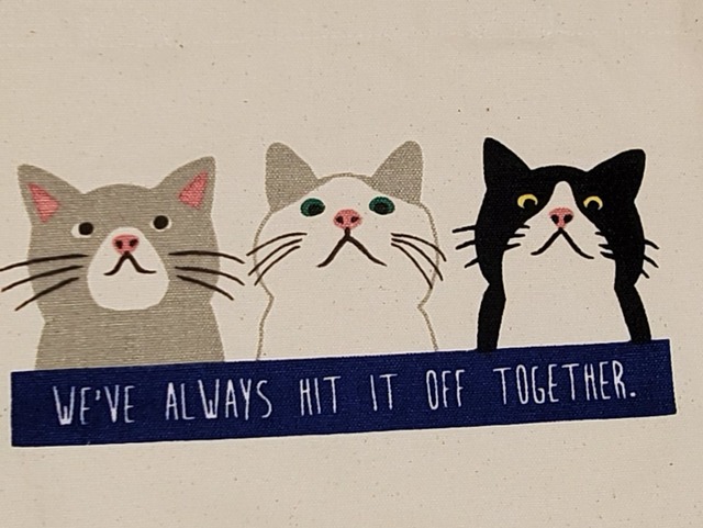 毎日使いやすい！シンプル帆布ミニトート/ ターチャンフレンズ