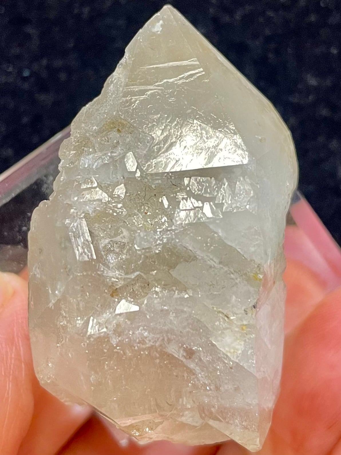 14) ロシアン・レムリアンDT