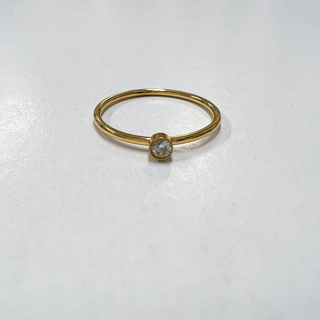 FJ0206 [stainless ring]