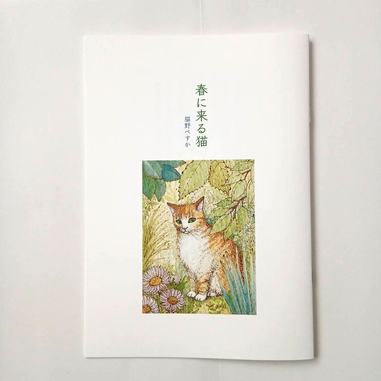 くろねこちゃこのぼうけん | ねこのみち
