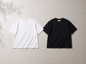 【KV-618】極S / Premium Aster Box T-shirt