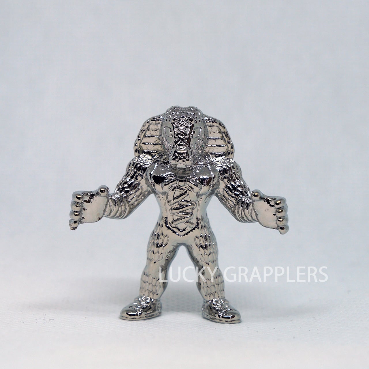 藤田和之 | LUCKY GRAPPLERS