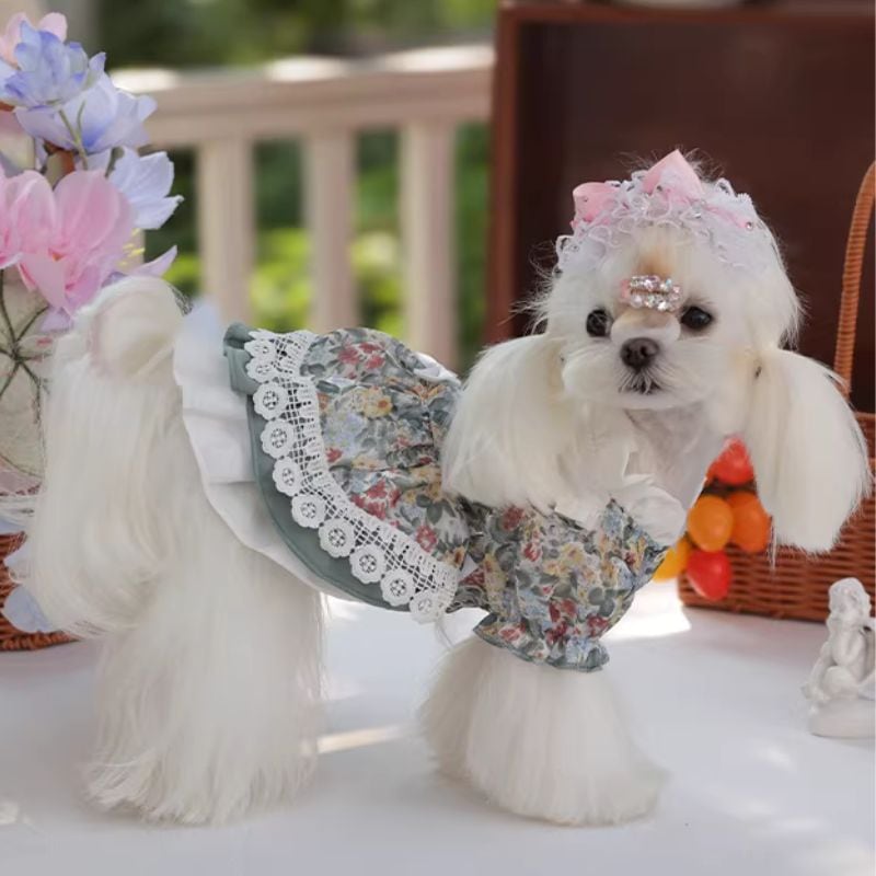 お嬢様カントリーワンピース 犬服 01095