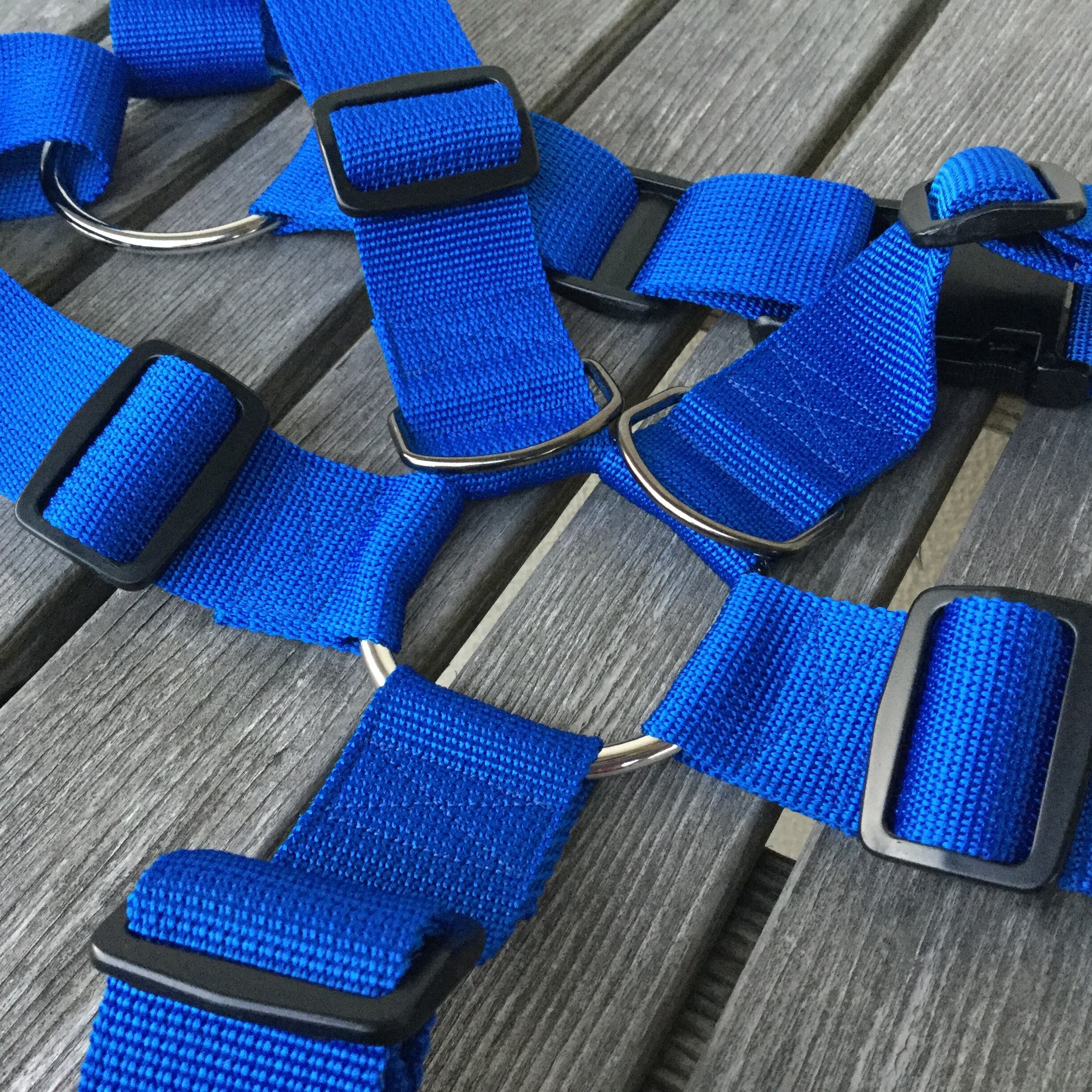 フルハーネス 青 40mm幅