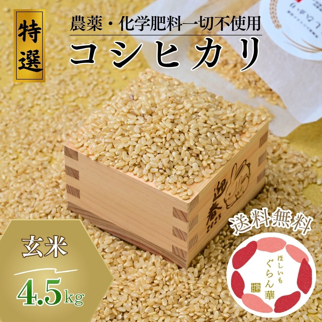 令和7年 コシヒカリ玄米45kg送料無料 令和7年 コシヒカリ玄米45kg