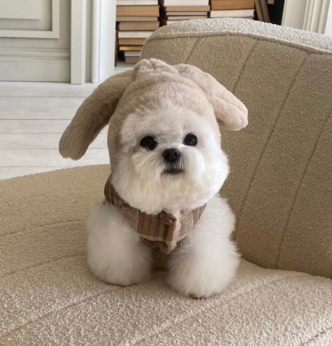 《予約》HI0040 Bunny Vest