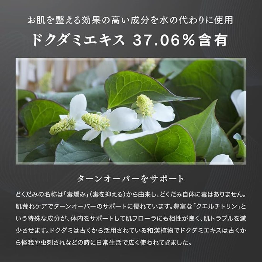 クリーム V3シャイニングファンデーション SPF37 PA++ 15g | Reze select