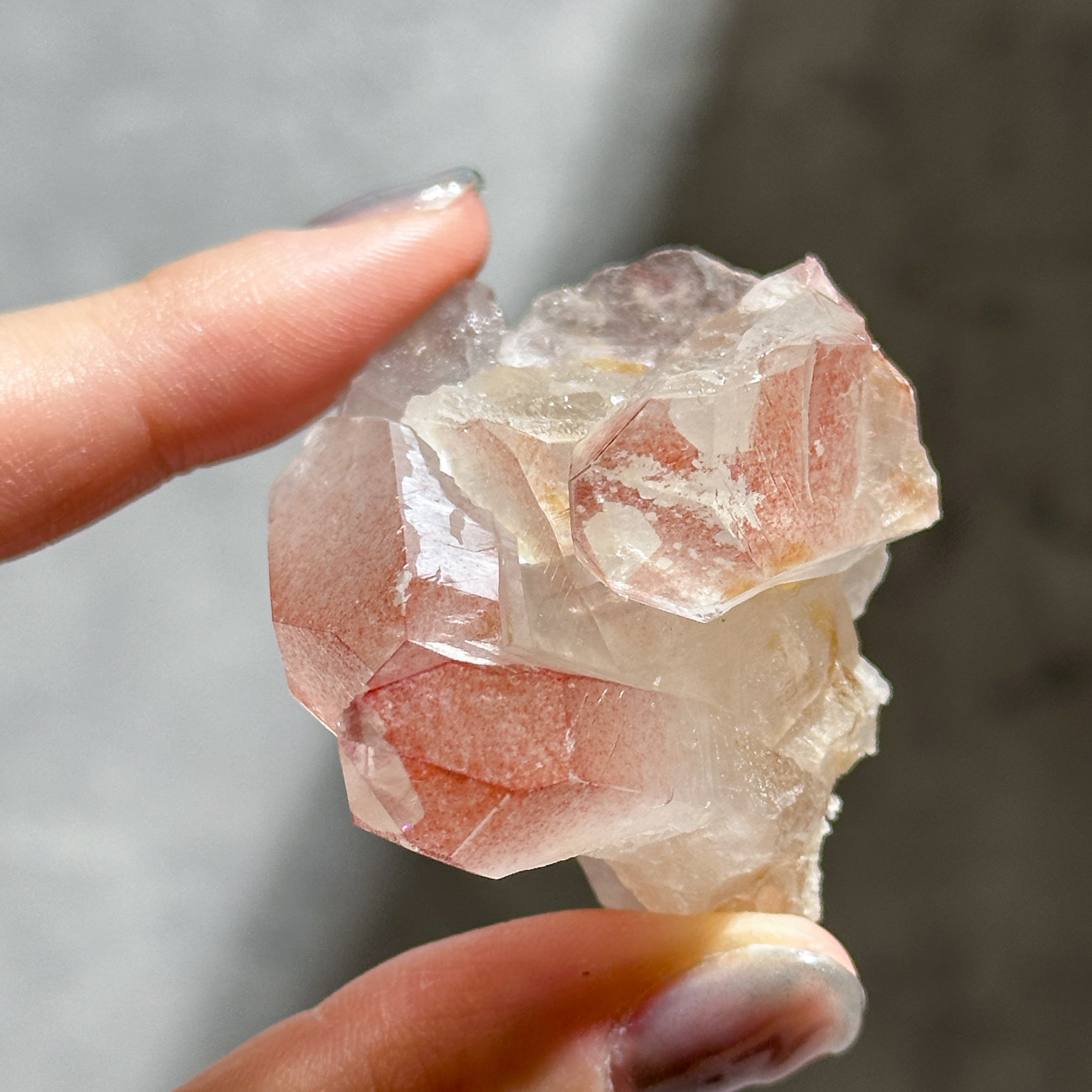 レコードキーパー有り◎ディアマンティーナ産ピンクレムリアン