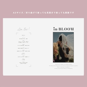 profile paper< books >／【A3・裏表・50枚】