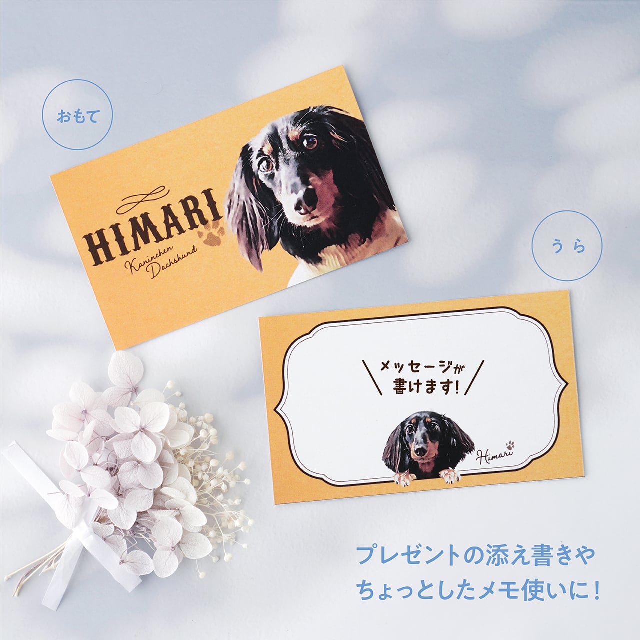 メッセージカード ☆100枚入り | ひまわんギャラリー