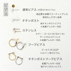 Aile（エール）ー 白蝶貝を重ねたピアス / イヤリング