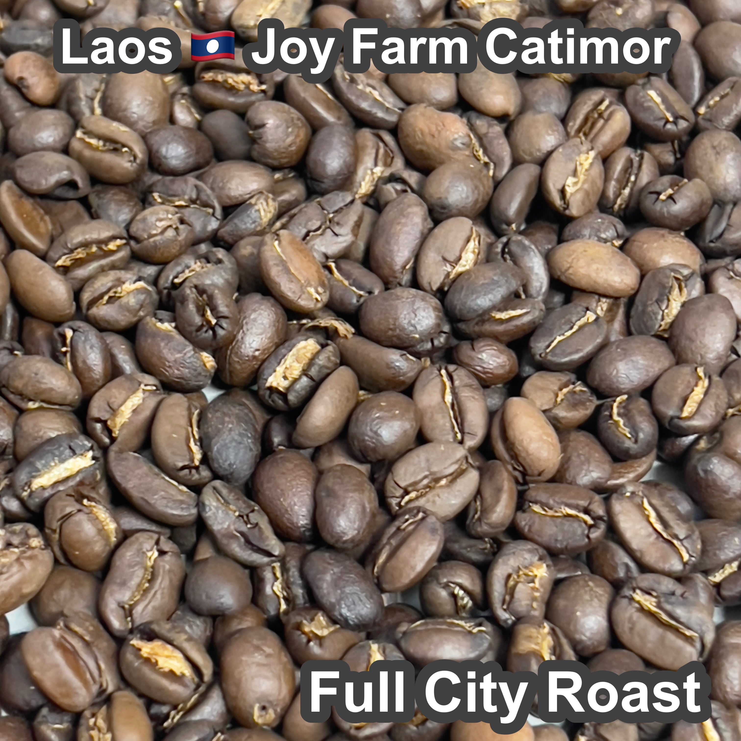 Laos Joy Farm Catimor（ラオス ジョイ農園 カティモール）100g 【受注