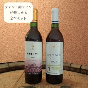 飲み比べて楽しむビンテージワインセット 2026 (2本セット)