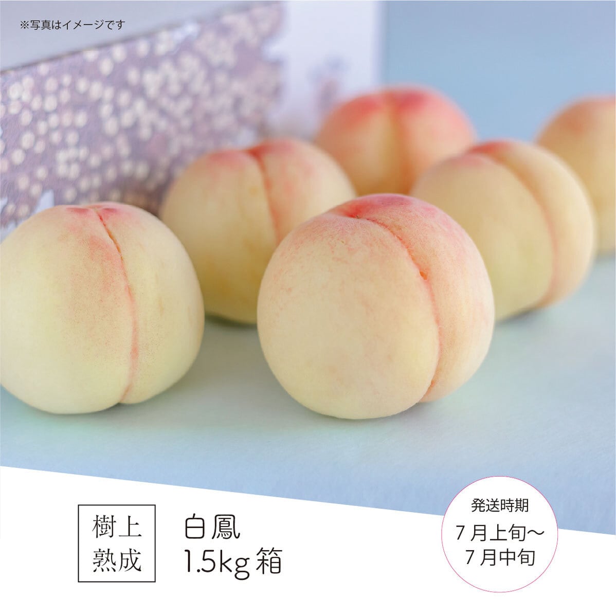 白鳳（7月上旬） | くらねら果樹園