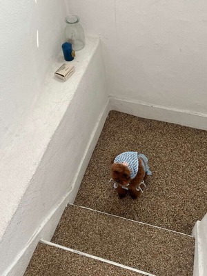 予約【pecoramou select】cottage series Babushka (hat)