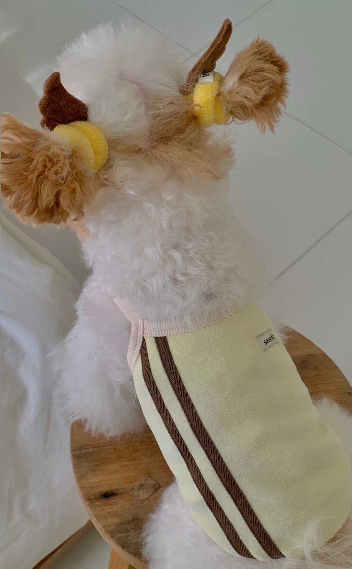 【seenii】Swing top （yellow）