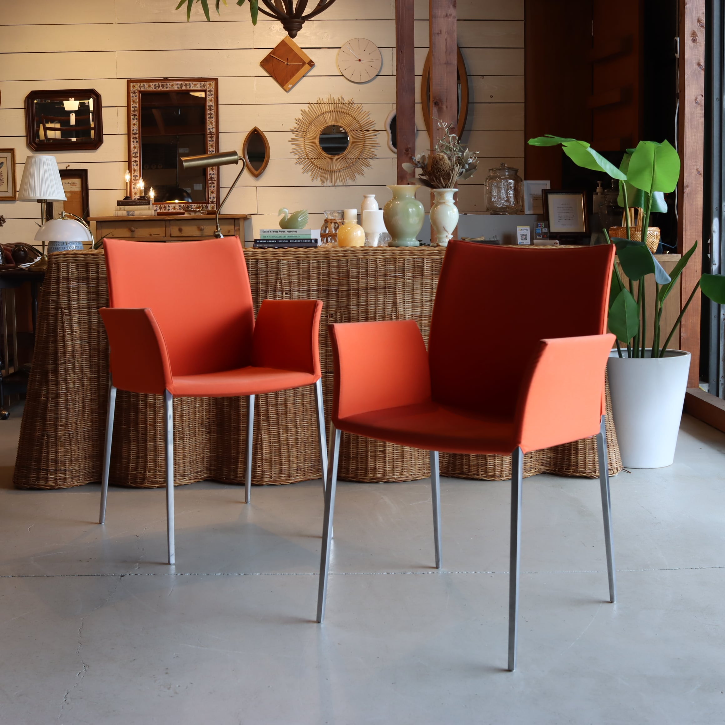 LIA Chair / Zanotta 1脚単位